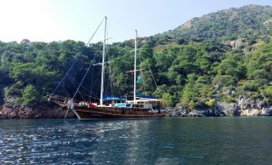 Noleggio Caicco Akifoglu Turchia