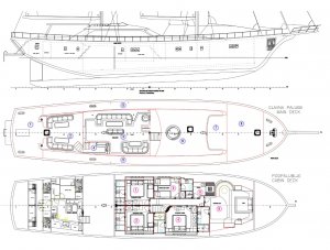 Location de Goélette Alessandro 1