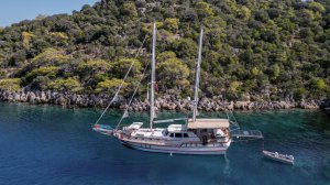Junior Tarkan Gulet Available for Charter