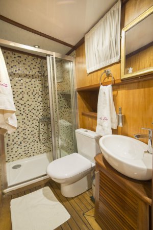 LAILA DENIZ Gulet Available for Charter