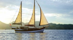 LAILA DENIZ Gulet Available for Charter
