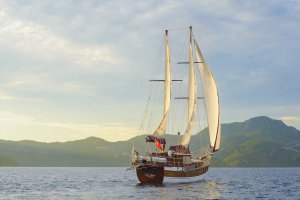 LAILA DENIZ Gulet Available for Charter