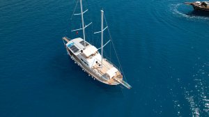 Lavinia Gulet Available for Charter
